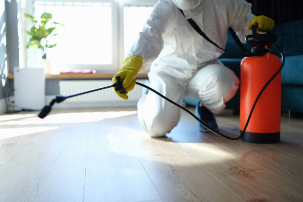 Reliable Odor Removal contractor in Park Ridge, IL by Trauma Clean Pros
